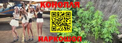 mdma Гатчина