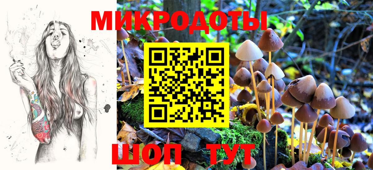 Галлюциногенные грибы Psilocybe  Псилоцибиновые грибы Magic Shrooms  Вход с VPN  Нововоронеж 